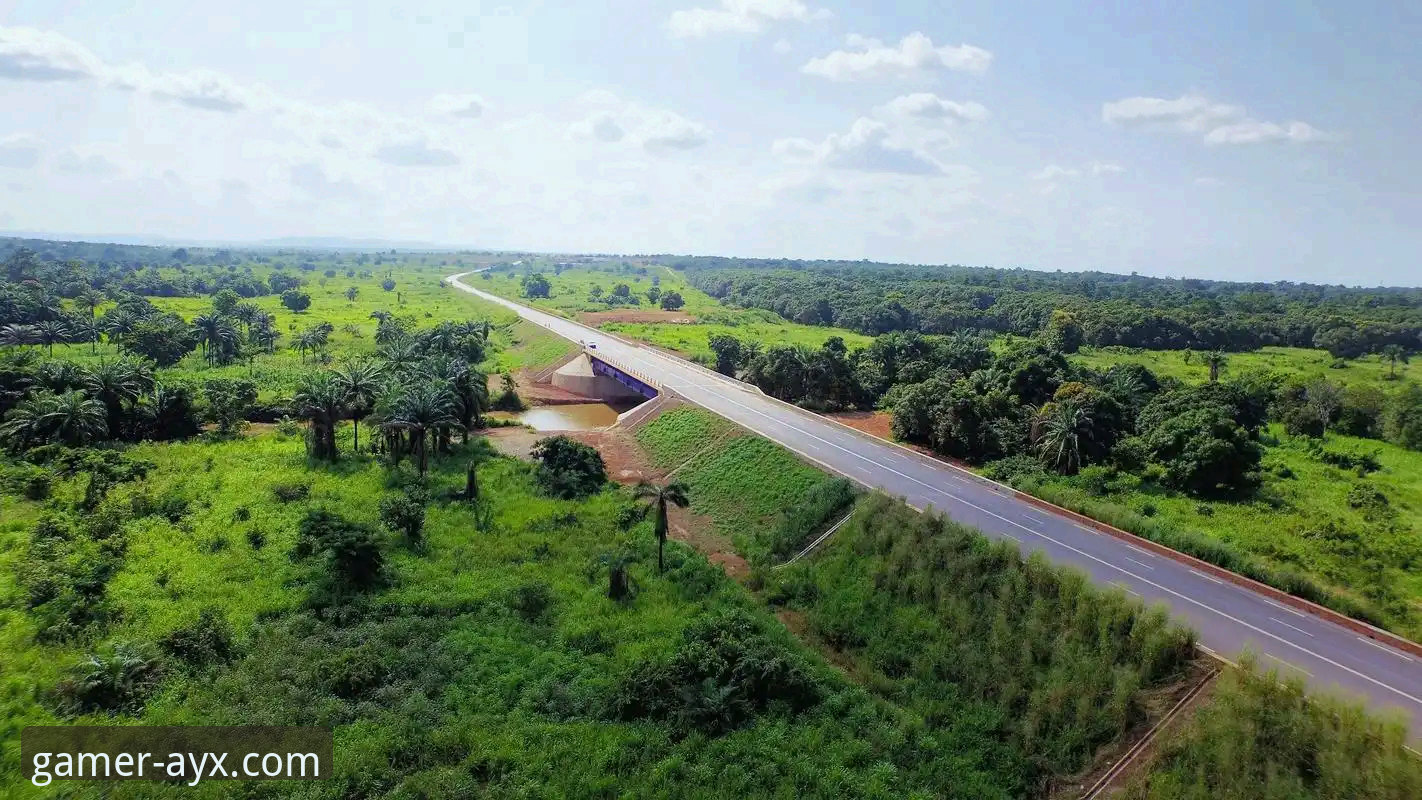 民主刚果52年圆梦之路：一场绝杀背后的战术博弈与平台体验深度评测
